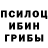 Псилоцибиновые грибы GOLDEN TEACHER IT Pennywise