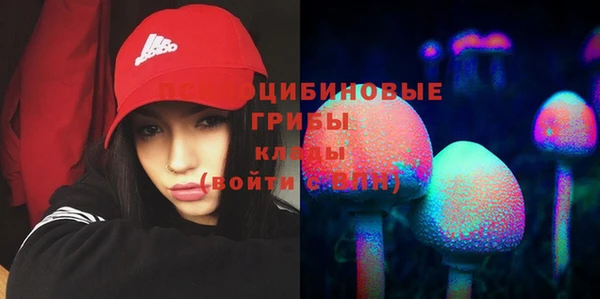 герыч Вязьма