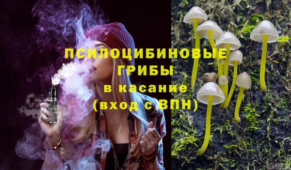 гидра Ступино