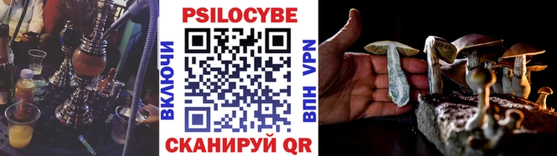 Галлюциногенные грибы Psilocybine cubensis  закладки  Дно 